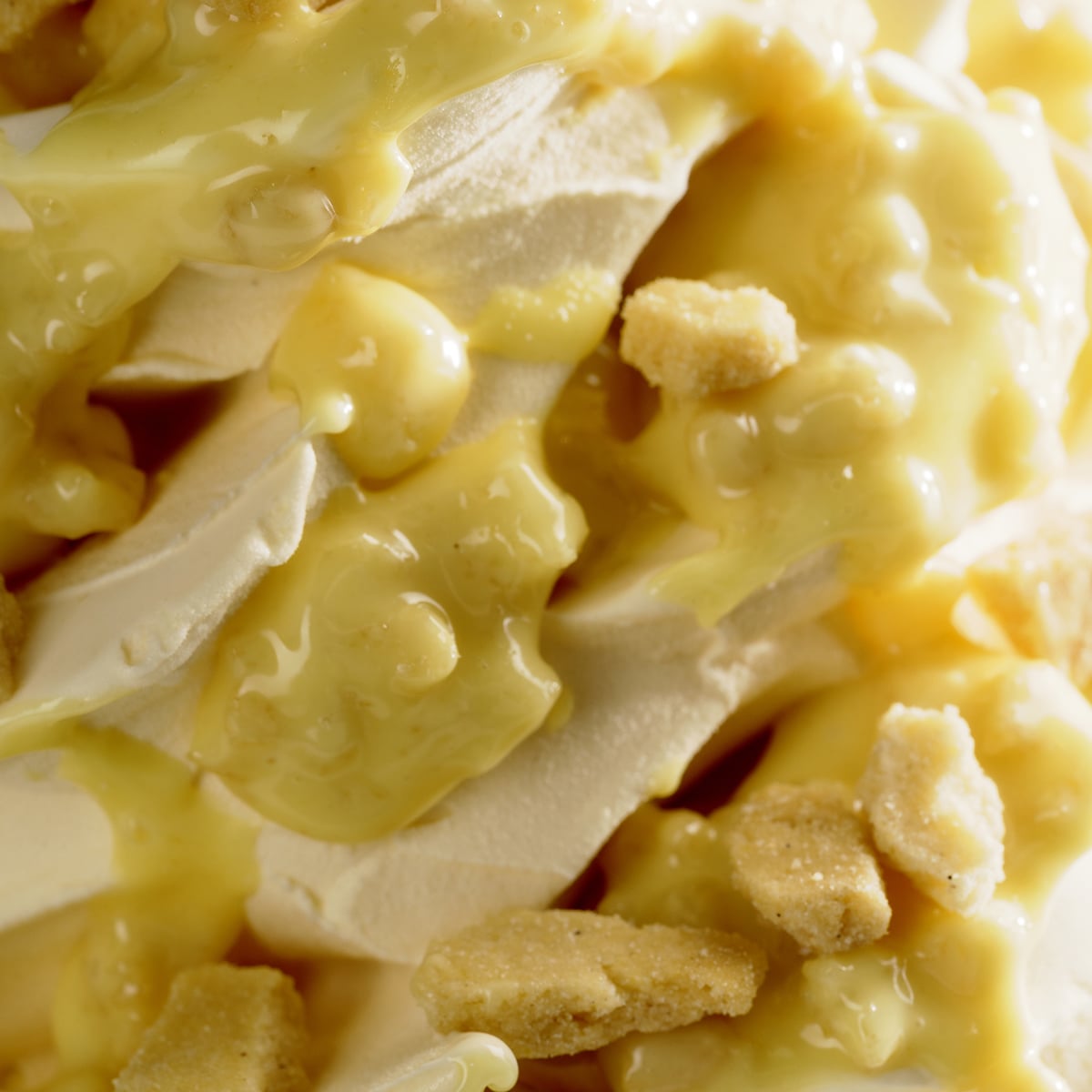 Joygelato - JOYCREAM LEMONBISCOTTO